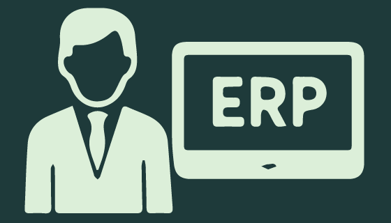 ERP-Beratung